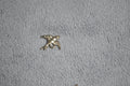 Gold Bird Charm