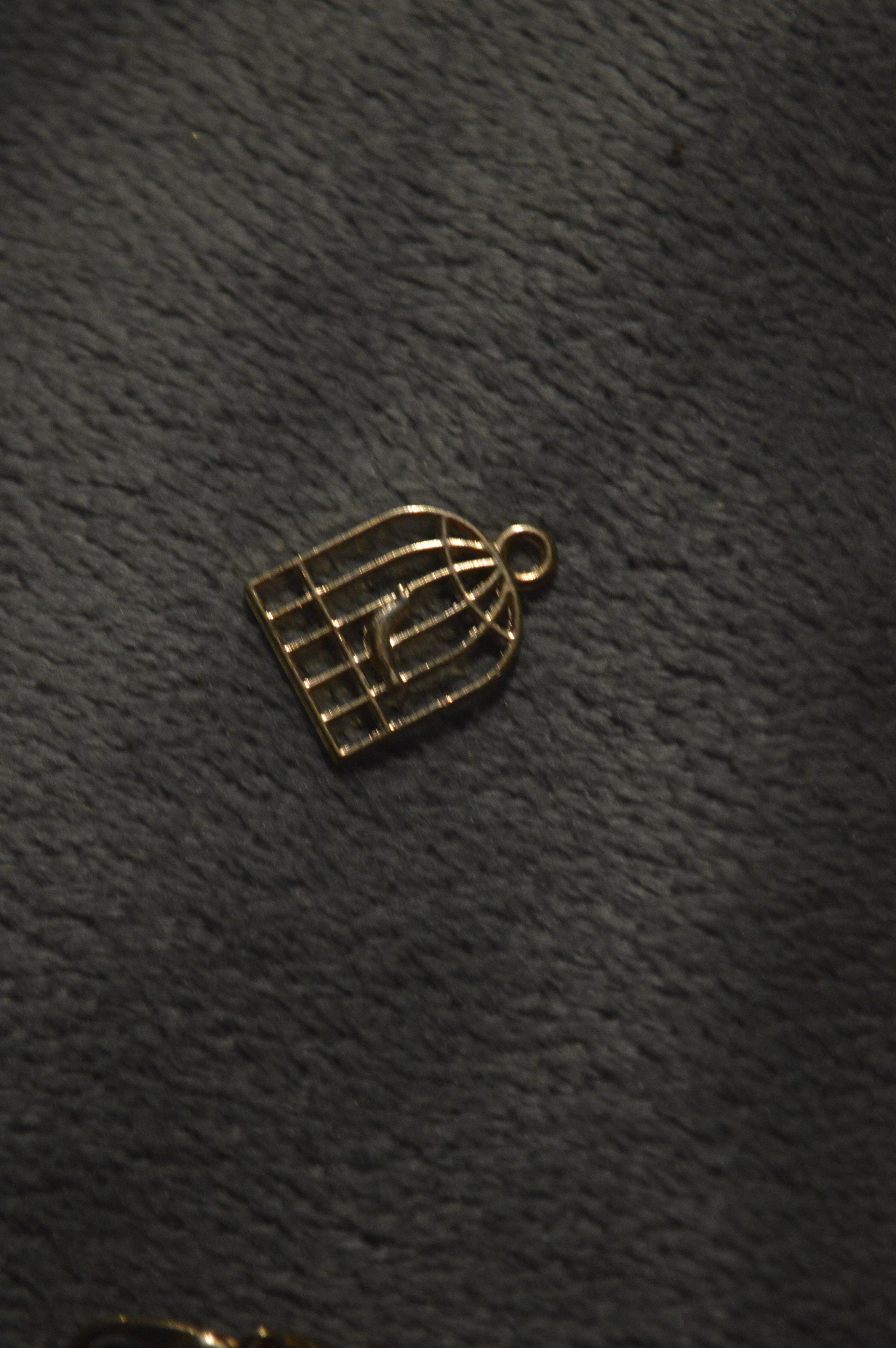 Gold Bird Cage Charm