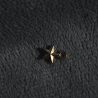 Tiny Gold Star Charm